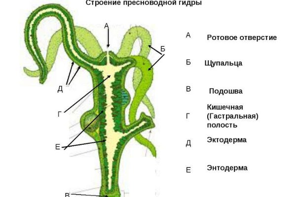 Как оплатить заказ в кракене