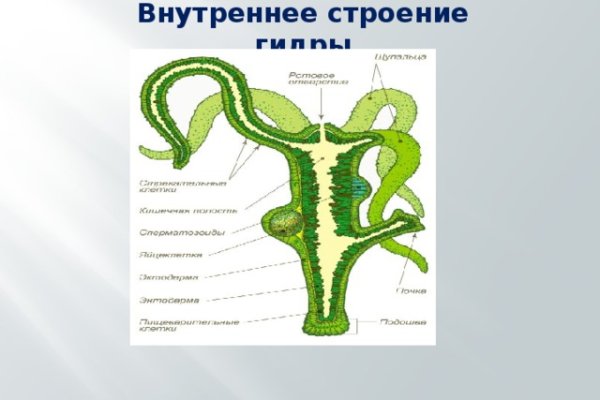 Браузер для кракен